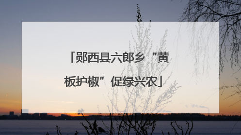 郧西县六郎乡“黄板护椒”促绿兴农