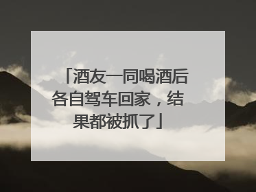 酒友一同喝酒后各自驾车回家，结果都被抓了