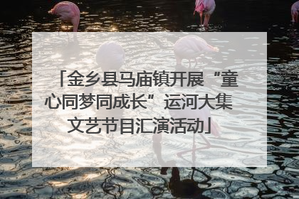 金乡县马庙镇开展“童心同梦同成长”运河大集文艺节目汇演活动