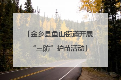 金乡县鱼山街道开展“三防”护苗活动