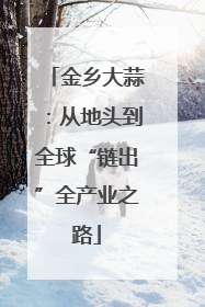 金乡大蒜：从地头到全球“链出”全产业之路