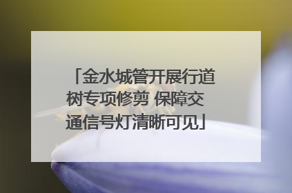 金水城管开展行道树专项修剪 保障交通信号灯清晰可见