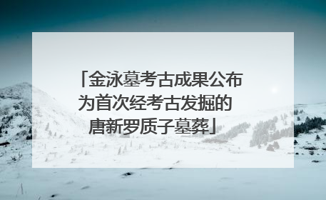 金泳墓考古成果公布 为首次经考古发掘的唐新罗质子墓葬