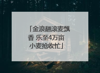 金浪翻滚麦飘香 乐至4万亩小麦抢收忙