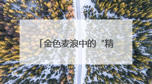 金色麦浪中的“精准”较量！连云港海州区创新开展机收减损技能竞赛