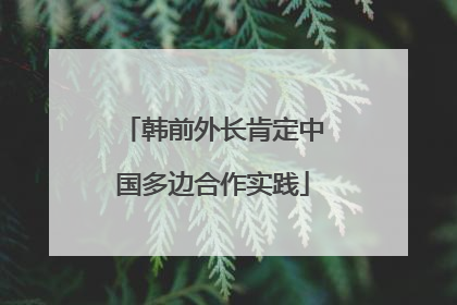 韩前外长肯定中国多边合作实践