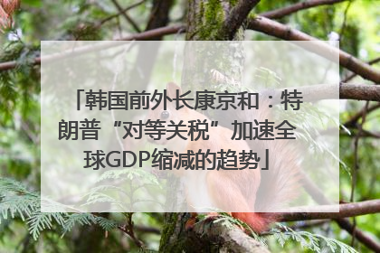 韩国前外长康京和：特朗普“对等关税”加速全球GDP缩减的趋势