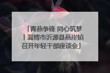 青燕争锋 同心筑梦丨淄博市沂源县燕崖镇召开年轻干部座谈会