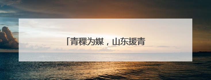 青稞为媒，山东援青产业协作模式上新
