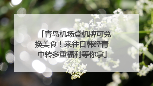 青岛机场登机牌可兑换美食！来往日韩经青中转多重福利等你拿