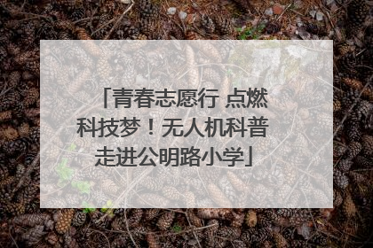 青春志愿行 点燃科技梦！无人机科普走进公明路小学