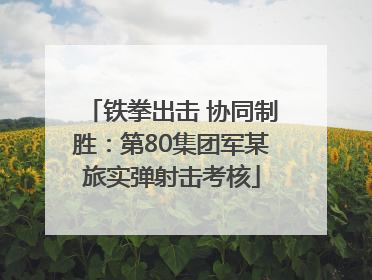 铁拳出击 协同制胜：第80集团军某旅实弹射击考核