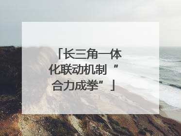长三角一体化联动机制“合力成拳”