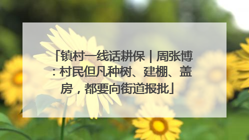 镇村一线话耕保｜周张博：村民但凡种树、建棚、盖房，都要向街道报批