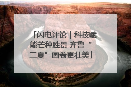 闪电评论｜科技赋能芒种胜景 齐鲁“三夏”画卷更壮美