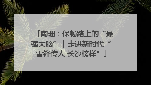 陶珊：保畅路上的“最强大脑”｜走进新时代“雷锋传人 长沙榜样”