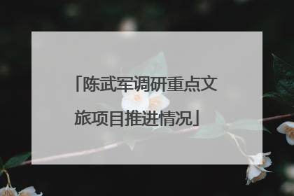 陈武军调研重点文旅项目推进情况