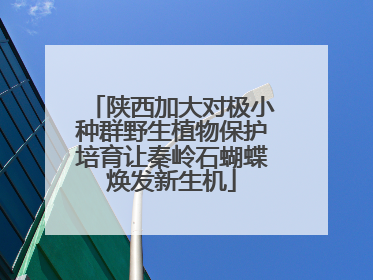 陕西加大对极小种群野生植物保护培育让秦岭石蝴蝶焕发新生机