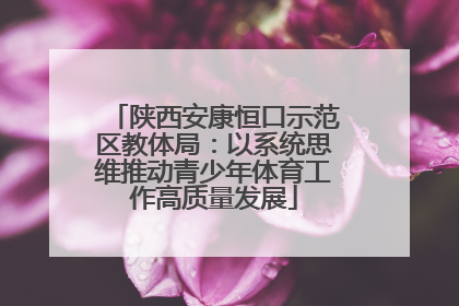 陕西安康恒口示范区教体局：以系统思维推动青少年体育工作高质量发展