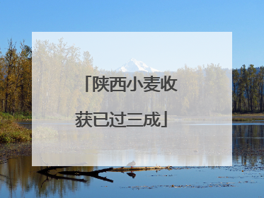 陕西小麦收获已过三成