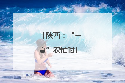 陕西：“三夏”农忙时