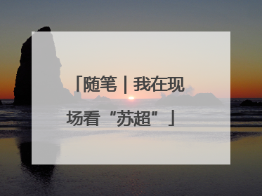 随笔｜我在现场看“苏超”