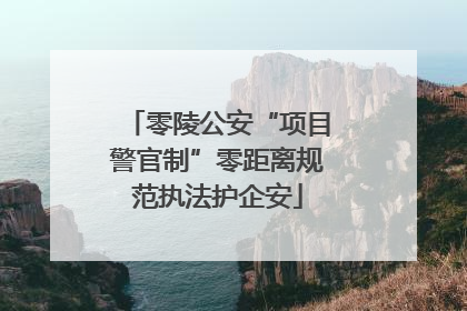 零陵公安“项目警官制”零距离规范执法护企安