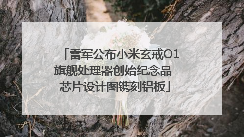 雷军公布小米玄戒O1旗舰处理器创始纪念品 芯片设计图镌刻铝板