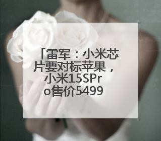 雷军：小米芯片要对标苹果，小米15SPro售价5499元起