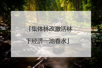 集体林改激活林下经济一池春水