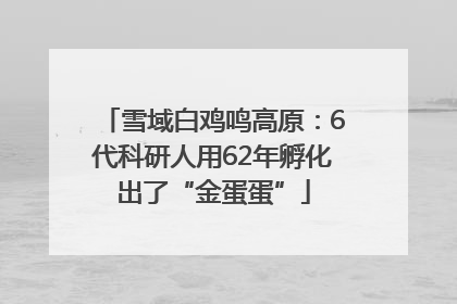 雪域白鸡鸣高原：6代科研人用62年孵化出了“金蛋蛋”