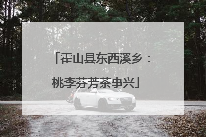 霍山县东西溪乡：桃李芬芳茶事兴