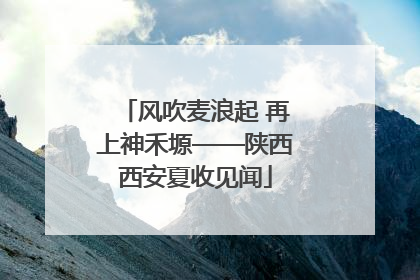 风吹麦浪起 再上神禾塬——陕西西安夏收见闻