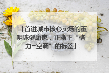 首进城市核心卖场的董明珠健康家，正撕下“格力=空调”的标签