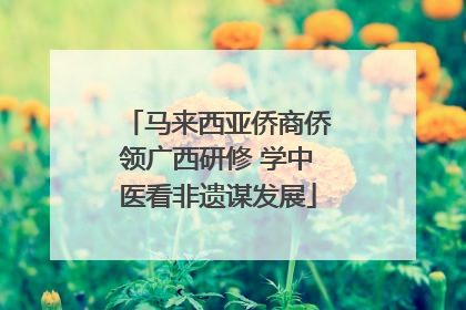 马来西亚侨商侨领广西研修 学中医看非遗谋发展