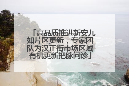 高品质推进新安九如片区更新，专家团队为汉正街市场区域有机更新把脉问诊