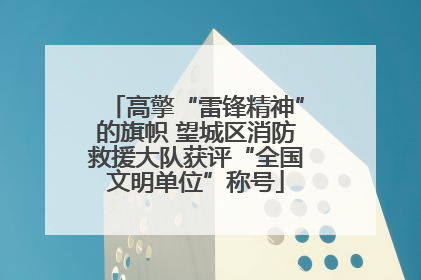 高擎“雷锋精神”的旗帜 望城区消防救援大队获评“全国文明单位”称号