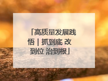 高质量发展践悟｜抓到底 改到位 治到根