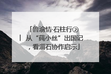 鲁渝情·石柱行② ︳从“莼小丝”出国记，看淄石协作启示