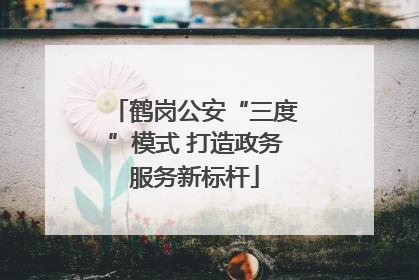 鹤岗公安“三度”模式 打造政务服务新标杆