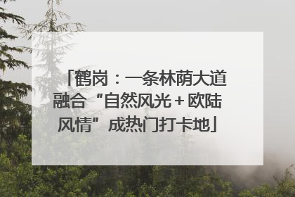 鹤岗：一条林荫大道融合“自然风光＋欧陆风情”成热门打卡地