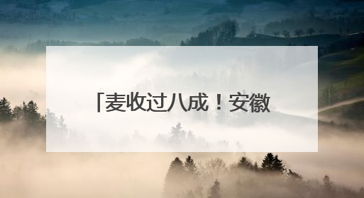 麦收过八成！安徽夏粮有望再迎丰收
