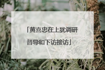黄喜忠在上犹调研督导和下访接访
