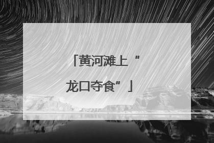 黄河滩上“龙口夺食”