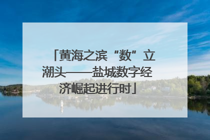 黄海之滨“数”立潮头——盐城数字经济崛起进行时