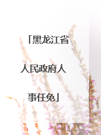 黑龙江省人民政府人事任免