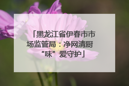 黑龙江省伊春市市场监管局：净网清厨 “味”爱守护
