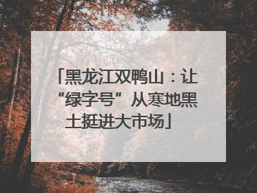 黑龙江双鸭山：让“绿字号”从寒地黑土挺进大市场