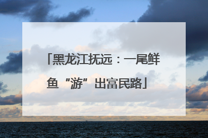 黑龙江抚远：一尾鲜鱼“游”出富民路