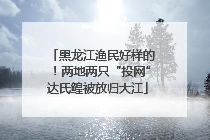 黑龙江渔民好样的！两地两只“投网”达氏鳇被放归大江
